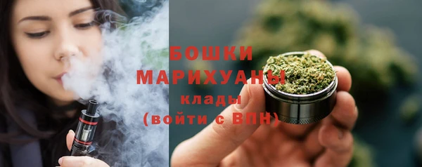 PSILOCYBIN Алзамай