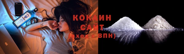 прущие грибы Алексин