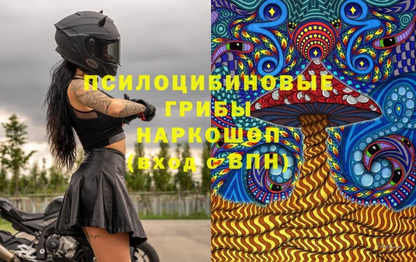 прущие грибы Алексин
